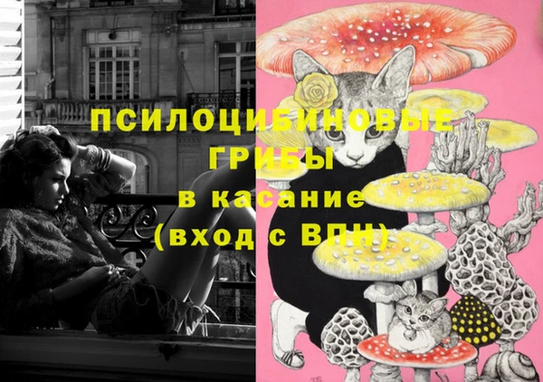 герыч Гусь-Хрустальный