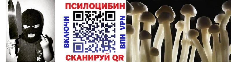 Купить где  Малмыж  Псилоцибиновые грибы MAGIC MUSHROOMS 